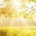 Beautiful Instrumental Hymns Peaceful Music Piano Flute Peace Be With You Tim Janis