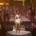 Jessica Mauboy Can I Get A Moment Live Live Grand Final Decider The X Factor Australia 2014