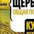 Ю В Щербатых Общая психология Курс лекций Аудиокнига