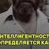 ИНТЕЛЛИГЕНТНОСТЬ ОПРЕДЕЛЯЕТСЯ КАК ЮРИЙ ВЛАСОВ