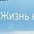 Камчатка Жизнь на вулкане Фильм Татьяны Столяровой