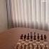 Umbra Wobble Chess Set Myumbra Shorts