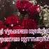 Анаға тілек туылған күніне