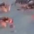 Mr Krabs From Spongebob INTENSE Fight With REAL Car