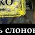 Аркадий Аверченко Одиннадцать слонов