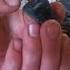 How To Fix A Broken Plug