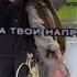 леди Диана пала пала вина хей лови лови