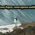 Тёплые слова для души душевные стихи