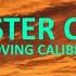 Loving Caliber Faster Car Lyrics