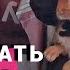 Кормление телят ЗЦМ Стоит ли держать кроликов ради денег Наши будни в деревне