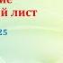 14 06 2025 Основная образовательная программа ООП название и титульный лист