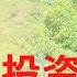 为什么巴菲特不喜欢房地产投资 Sole Proprietorship C Corp S Corp 及LLC的区别 Connie带你美国投资房地产202期 UFUND INVESTMENT