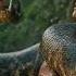 Anaconda 2026 First Trailer Dwayne Johnson Paul Rudd Jack Black Concept Trailer