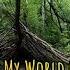 Loving Caliber Feat Selestine You Set My World On Fire With Lyrics Epidemic Sound Popsie