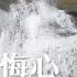 法譬如水 懺悔心 滌無明 五數總結 六根 一 第130集 水懺 慈悲三昧水懺 20250512