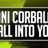 Fall Into You Radio Edit