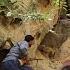 Amirag S Search In The Mountains To Find Single Mother S Ex Wife