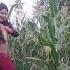 Dam Pay Dam Mare Ja Dance Bolleywoodsong Dancemusic Song Love