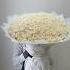200pcs PLAYA BLANCA ROSE WITH WHITE TRIANGLE WRAPPING Giantbouquet Flowerbouquet Florist