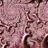Frax Fractal Animation 32