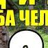 ДЕД и ЛЭП В ТАЙГЕ ЛЕСОВОЗЫ 100 кубов КАК СДЕЛАТЬ ИЗ ТРАКТОРА ГЕНЕРАТОР СУДЬБА ЧЕЛОВЕКА 2