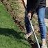 Edging The Grass Pathway To The Cut Flower Garden Garden Answer