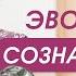 5 уровней сознания денег Практика