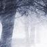 Winterreise Op 89 D 911 No 19 Tauschung