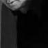 Hamid Askari Taneh With Lyrics