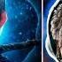 Jack Frost Rap El Origen De Los Guardianes Escarcha Nozi Reacción