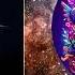 Samuel Wallen Mia Mendi Separate Ways Worlds Apart Extended Mix Species Records