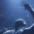Hardwell Feat Mitch Crown Call Me A Spaceman Official Video HD
