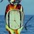 Time Pink Floyd 2011 Remastered