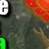 How To Increase Hearts Stamina Spirit Orbs Goddess Statues Shrines Zelda Breath Of The Wild