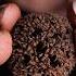 ASMR Unusual Triggers That Will Make You Tingle Chinese Herbs No Talking