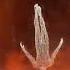 Afterlife Tale Of Us Zamna Tulum Mexico 2022