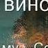 Ты не виноватая