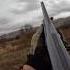 Лучший стрелок охоты на фазана 2025 года Pheasanthunting Birddog Hunting 2025