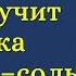 ДВУСТИШИЯ Владимир Поляков Bazzlan НОВОЕ 6