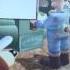Wallace N Gromit Curse Of The Were Rabbit Episode 1 Old Fashioned Tutorial