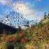 RICHARD CLAYDERMAN Begin The Beguine