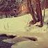 126 SDA Hymn In The Bleak Midwinter Singing W Lyrics