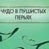 Чудо в пушистых перьях Татьяна Полякова аудиокнига