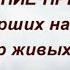 3 мая народный праздник День Феодора Трихины Окликание предков Что нельзя делать Народные традиции