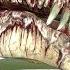 Garry S Mod These Dinosaurs Are AMAZING Turok SNPCS Mod Showcase