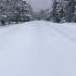 Вновь первый снег Shorts зима снег природа холод Ice Winter Snow