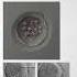 Poor Fertilisation The Enigma