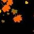 Футаж листопад осений желтых листьев подымаются в воздух Footage Autumn Leaf Fall Yellow Leaves Rise