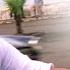 O Humdum Suniyo Re Song Saathiya Vivek Oberoi A R Rahman Gulzar KK Shaan Kunal Pravin Mani
