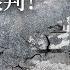 兩岸密使往事 四 和平使命 章士钊 下載鳳凰秀App 發現更多精彩